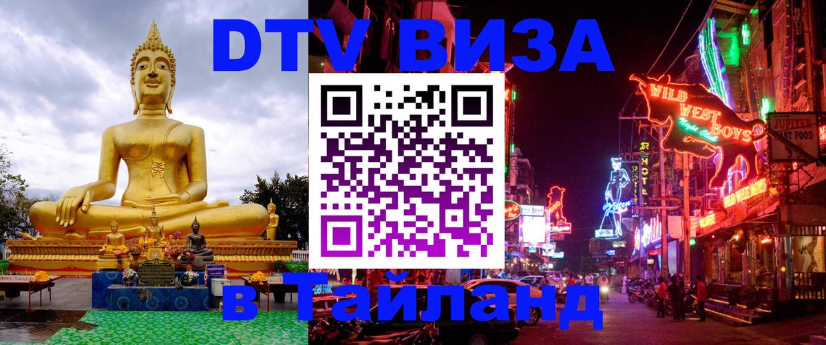 Оформление DTV визы под ключ: стоимость и тарифы, только загранпаспорт - 